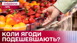 Сезон ягід та фруктів! Які ціни влітку 2024?