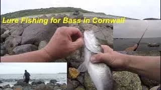 Lure Fishing for Bass in Cornwall