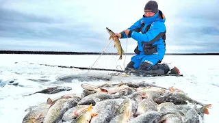 КОНСКАЯ СОРОГА, ПЕЛЯДЬ....!!! ПРОВЕРИЛ ЧУЖУЮ СЕТЬ И ПОЛУЧИЛ....!