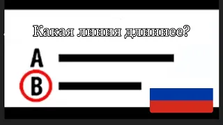 Самая Сложная Загадка в Мире! (99,9% невозможно отгадать!) (белуга, перевод на русский язык)