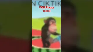 #жду такси