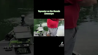 Ever Seen Topwater On Livescope?