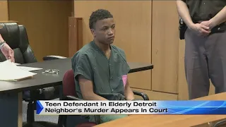 Teen defendant in elderly Detroit neighbor's murder appears in court