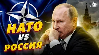 России приготовиться? НАТО собирается показать реальную мощь