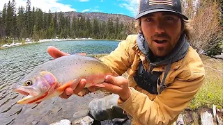 SOLO CAMPING ADVENTURE for WILD CUTTHROAT TROUT!! (Catch, Cook, Camp)