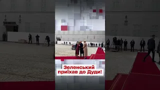 🥰 Як це мило! Дуда зустрів Зеленського!