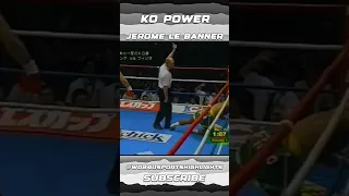 Insane Knockout Power Jerome Le Banner