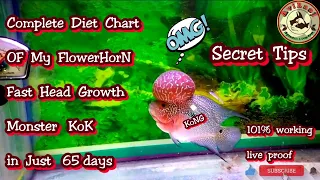 How To Grow Flowerhorn Head Faster in Hindi || How to Grow Baby flowerhorn head faster Monster KoK