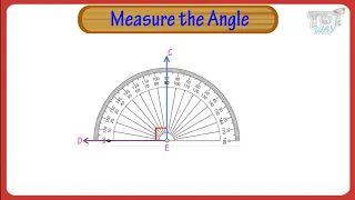 Angles: How To Measure Angles Using Protractor & Their Names | Tutway