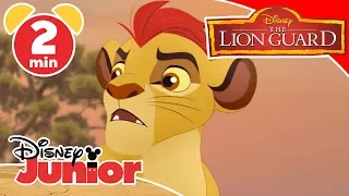 The Lion Guard | The Army of Scar Arrive 🦁| Disney Kids