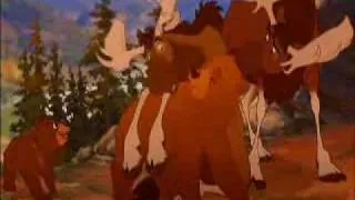 Re: Brother Bear-On my way