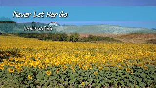 "Never Let Her Go" w/ Lyrics DAVID GATES