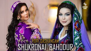 Shukronai Bahodur - Yori qashangam (new klip 2023)  |  Шукронаи Баходур - Ёри кашангам 2023