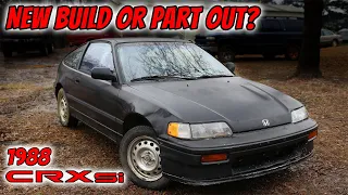 1988 CRX Si Restore Part 1 - Picking It Up