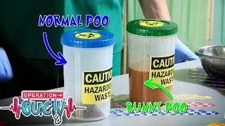 Poo Experiment | #Clip | TV Show for Kids | Operation Ouch