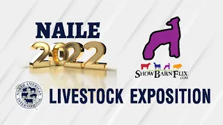 Supreme Champion Jr. Breeding Sheep - NAILE 2022!