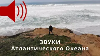 Звук Океана | Атлантический Океан | Португалия, Кашкайш