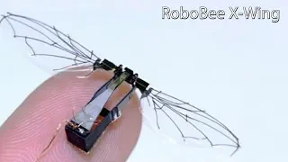 RoboBee X-Wing Tiny Flying Insect Robot, 4 Wings & Weighs Under A Gram & Fly Using Its Own Power.