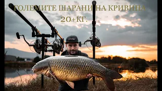 20+ кг. Трофейни Шарани на Езерото Кривина / 20+kg. Trophy Carps on Krivina Lake