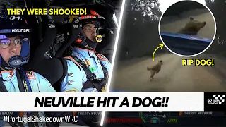 Rally Driver Thierry Neuville Hit a Dog during Rally de Portugal : Shakedown | RIP Dog!