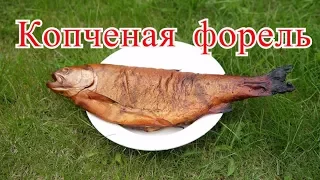 Копченая форель