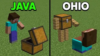 minecraft Java vs Ohio (pt.7)