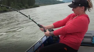 Summer Sturgeon Fishing on The Fraser River with Bent Rods