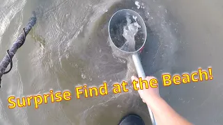 BEACH Metal Detecting TEXAS