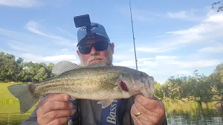 Kayak Bass Fishing in a City Pond! Nashville Summers Are HOT!