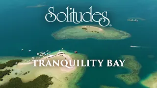 Dan Gibson’s Solitudes - A Perfect Day | Tranquility Bay