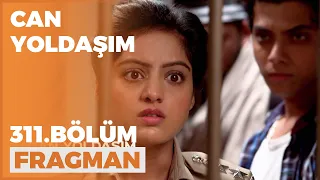 Can Yoldaşım 311. Bölüm Fragmanı - 6 Haziran Pazartesi