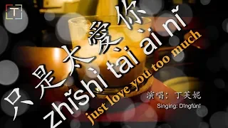 只是太愛你 - zhǐshì tài ài nǐ - just love you too much WITH PINYIN AND LYRICS