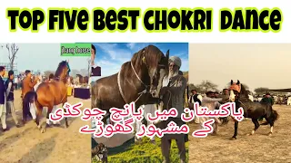 Best horse dance top 5 chokdi dance horse in 2021|| punjab rang jhang ka sang