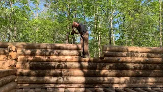 Log cabin build Part 13, full scribe log construction, lock notch