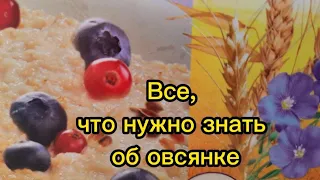 Все, что нужно знать об овсянке/ Вопросы об овсянке  от потребителей