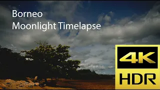 Borneo Moonlight Timelapse - 4K HDR - Ultra HD - Timelapse - Turtle Island