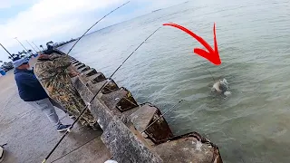 These Pier Fisherman HIT THE JACKPOT! (Seawolf Park Fishing)