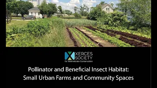 Pollinator and Beneficial Insect Habitat: Small Urban Farms and Community Spaces