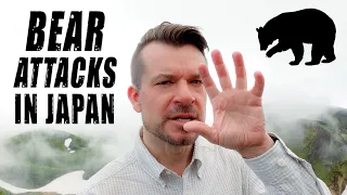 Bear attacks in Japan - risks and how to be safe.