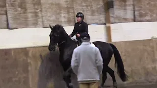 Philippe Karl training June 2018 Canter work