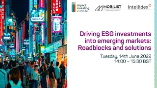 Driving ESG investments into emerging markets: Roadblocks and solutions