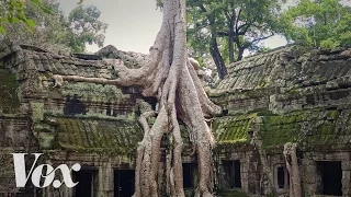 Ta Prohm’s haunting ruins are also a 1,000-year-old climate change warning