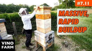Bee Barn Beekeeping Is Different