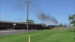 NSW Steam Locomotive 5917