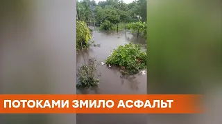 Вода стояла по коліно і зіпсувала городину: сильні дощі на Харківщині