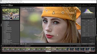 Using Plugins Lightroom (Color Efex Pro 4 Nik Collection)