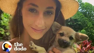 This Woman On Vacation Stopped Everything to Save a Sick Puppy in Bali | The Dodo