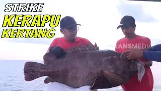 Battle Fishing Selat Makassar: Toko Pancing VS Peternak | MANCING MANIS STRIKE BACK (03/06/23)Part 1