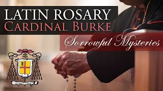 Pray the Rosary in Latin with Cardinal Burke (Sorrowful Mysteries)