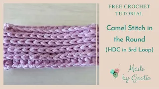 Crochet Camel Stitch in the Round (hdc in 3rd loop) - Made by Gootie